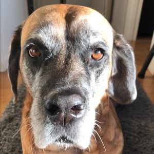 Meet your Posher, Debby